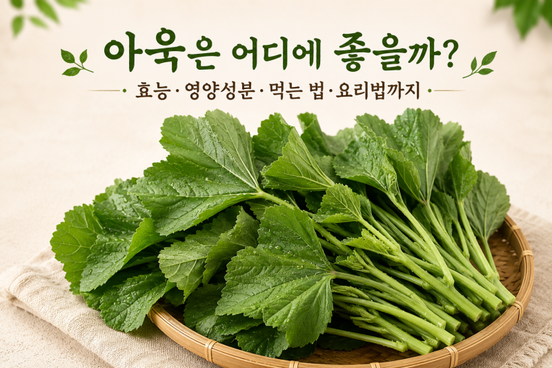 아욱은 어디에 좋을까? 효능·영양성분·먹는 법·요리법까지