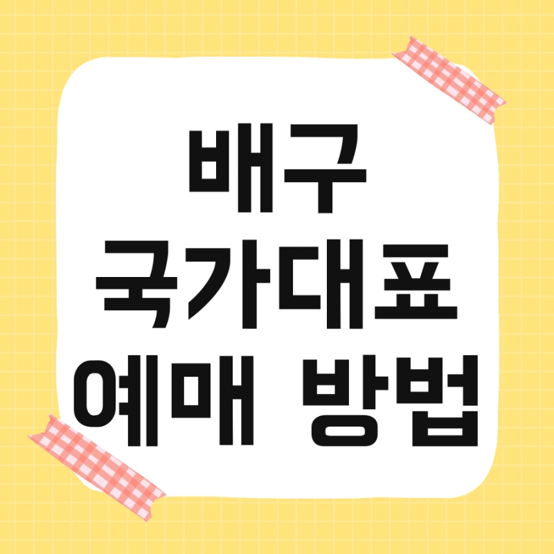배구 국가대표 예매 방법 및 유니폼 명단 한눈에 보기