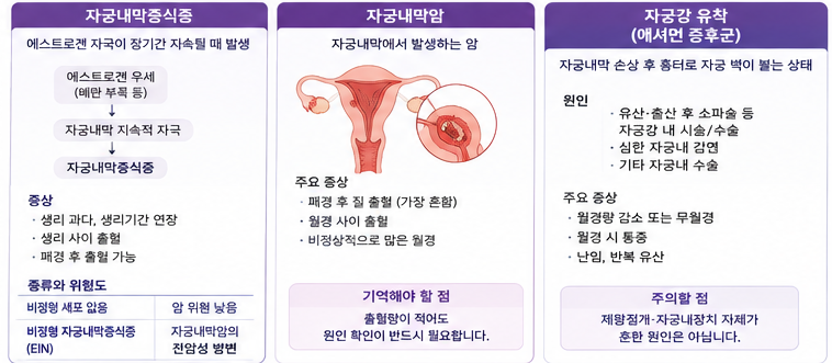 자궁내막이 두꺼워지는 이유는? 자궁내막증식증 자궁내막암 자궁강 유착 알아보기