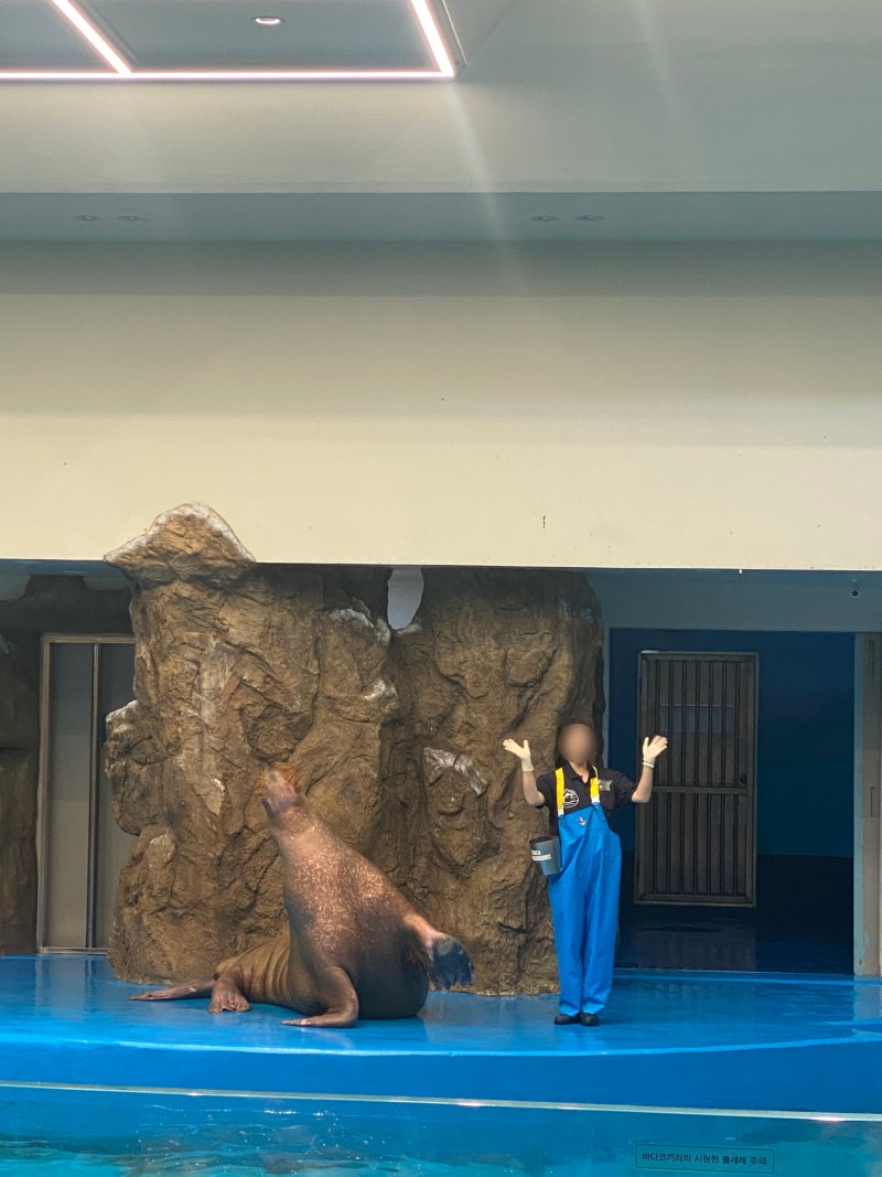 아쿠아 플라넷 일산 '각종할인혜택 정리' 주말 방문 후기