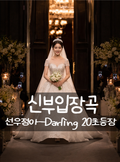 신부입장곡-①선우정아Darling