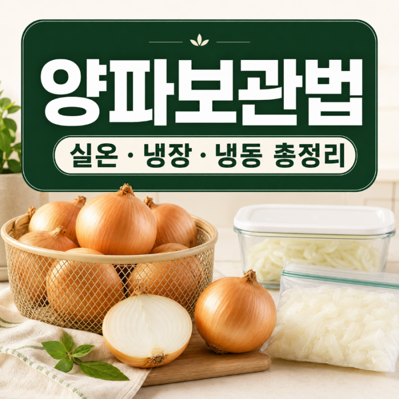 양파보관법 총정리｜실온·냉장·냉동, 오래 두고 먹는 꿀팁