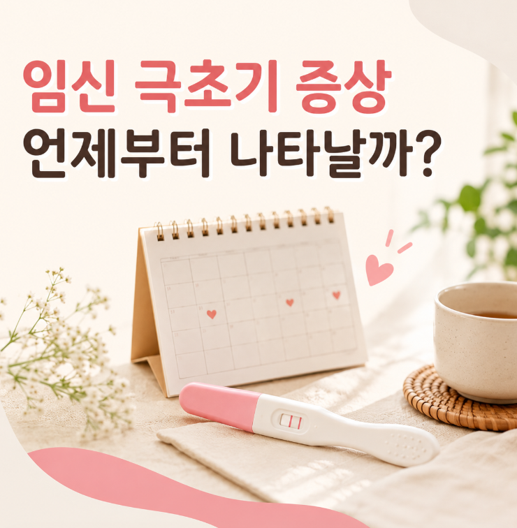 임신 극초기 증상 언제부터 나타날까?｜착상부터 임테기까지