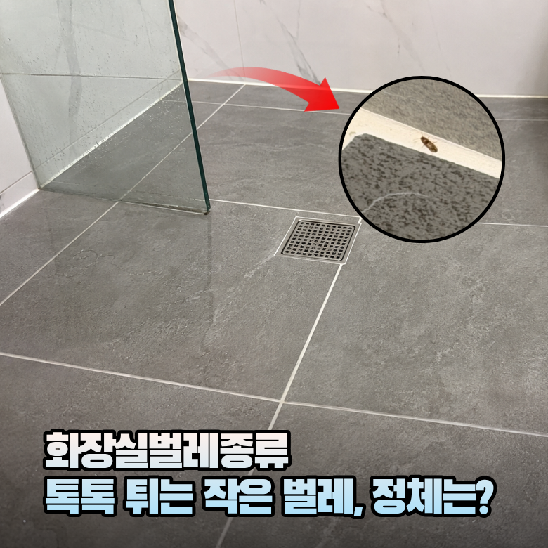 화장실벌레 종류 톡톡 튀는 작은 벌레, 톡토기 원인과 퇴치