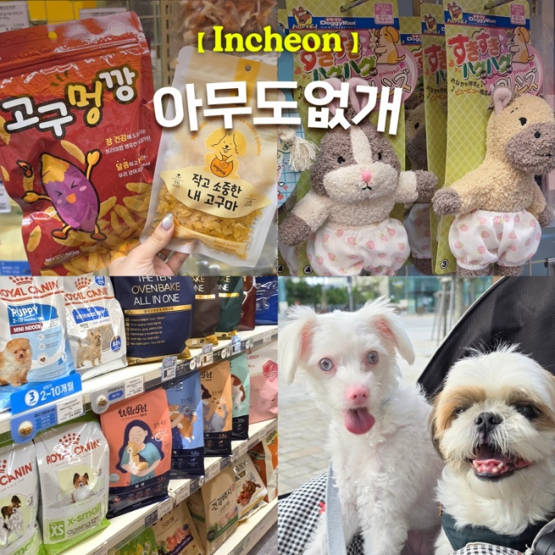 인천애견용품 24시 반려동물 편의점 아무도없개 인천아라점 후기 강아지간식 추천