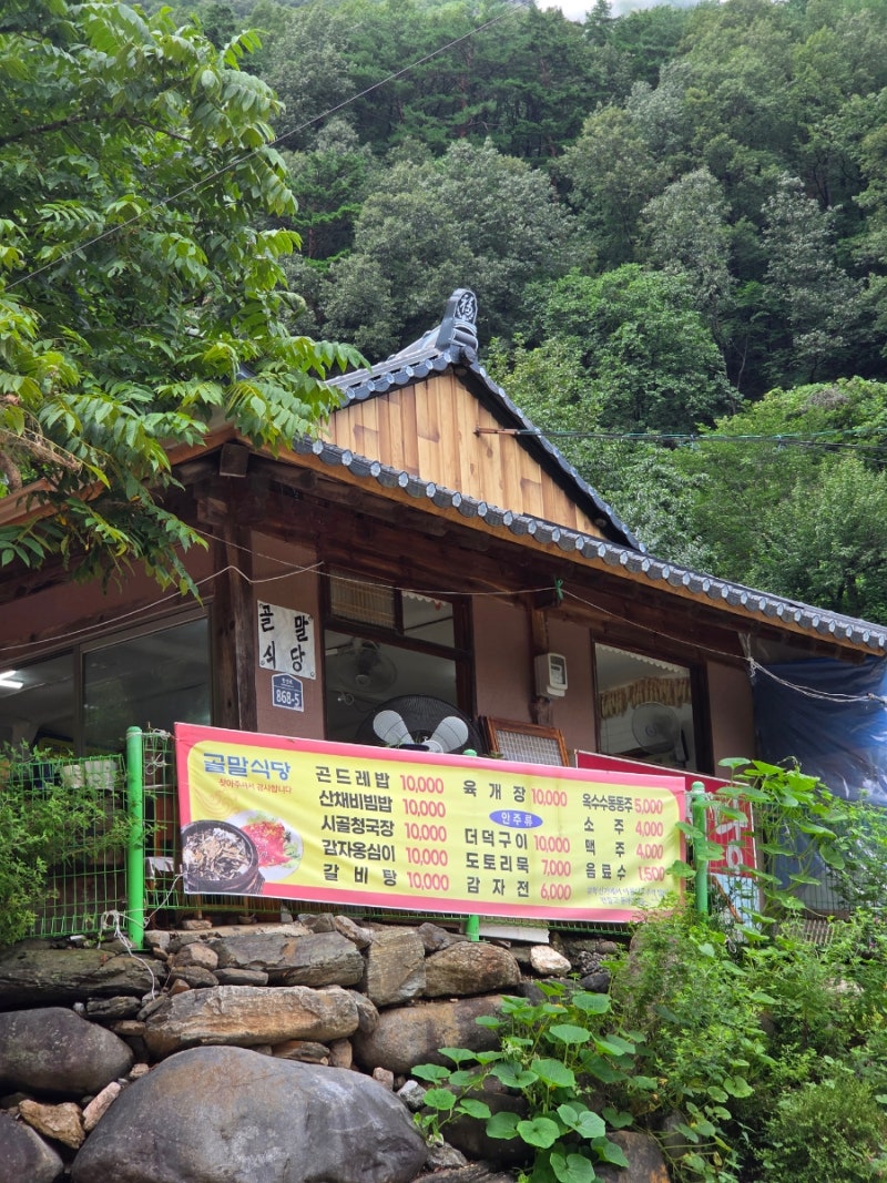 삼척 환선굴 맛집 골말식당 후기｜산채비빔밥·감자옹심이·감자전 로컬 맛집