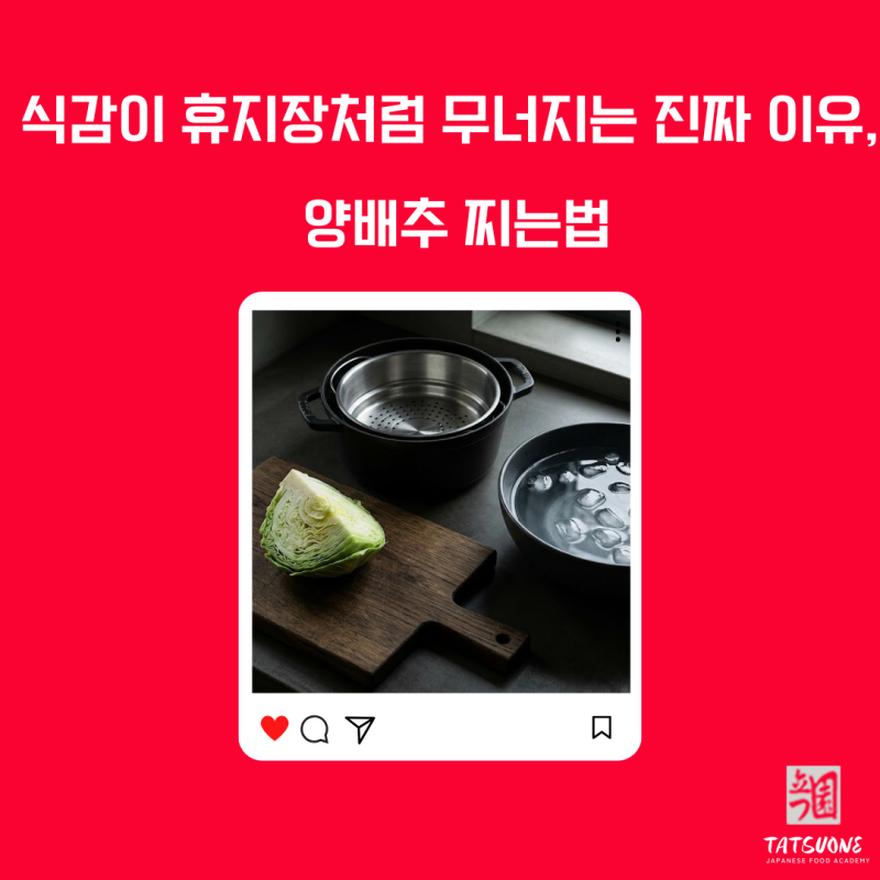 양배추 찌는법 찬물부터 냄비 전자레인지 시간까지 정리 한번에 해드릴게요 이것만 보세요!