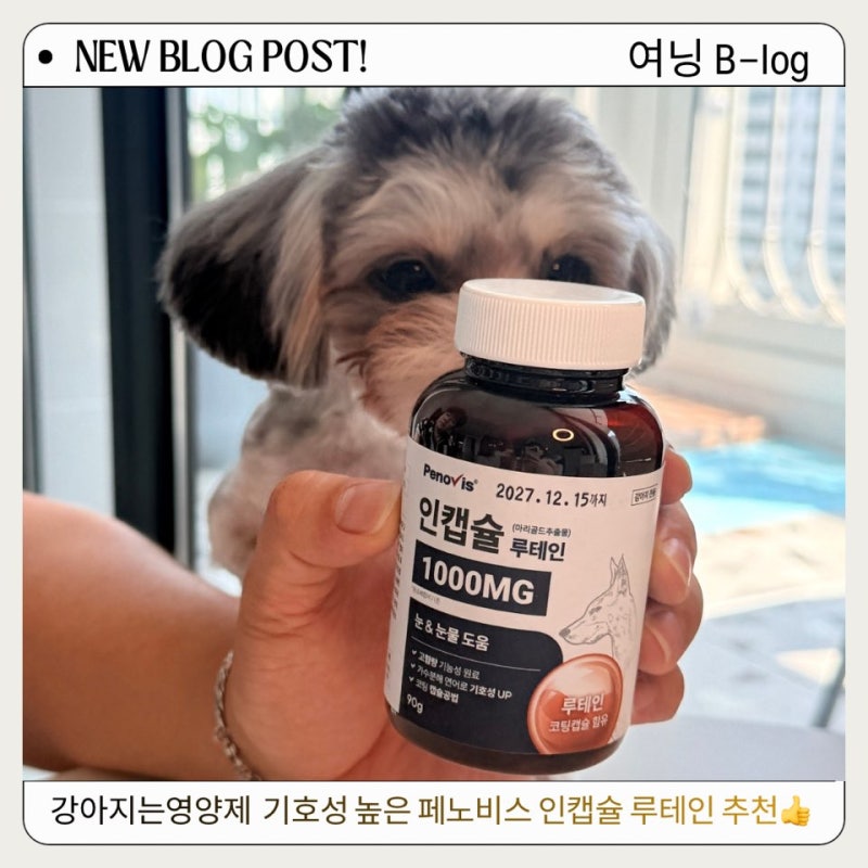 우리 쿠키레빗은 강아지눈물 눈물자국 관리는 강아지눈영양제 페노비스 인캡슐 루테인 하나....