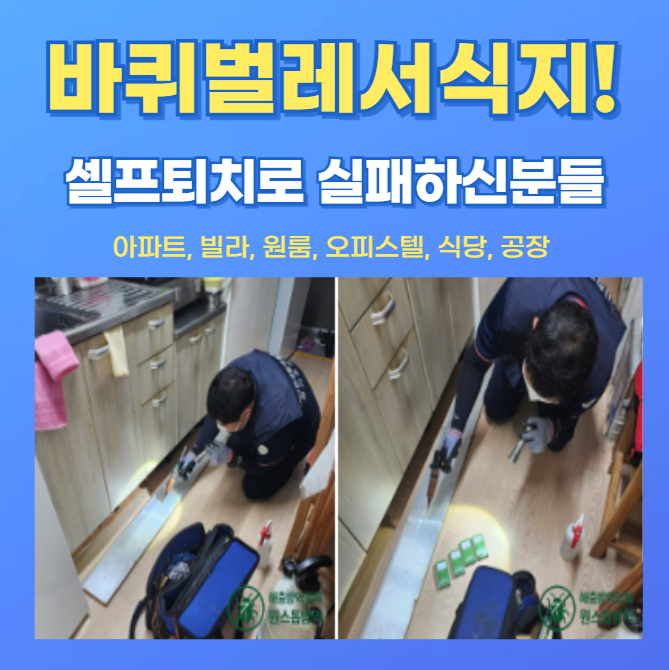 바퀴벌레 서식지 완벽하게 찾아내 퇴치하는 법