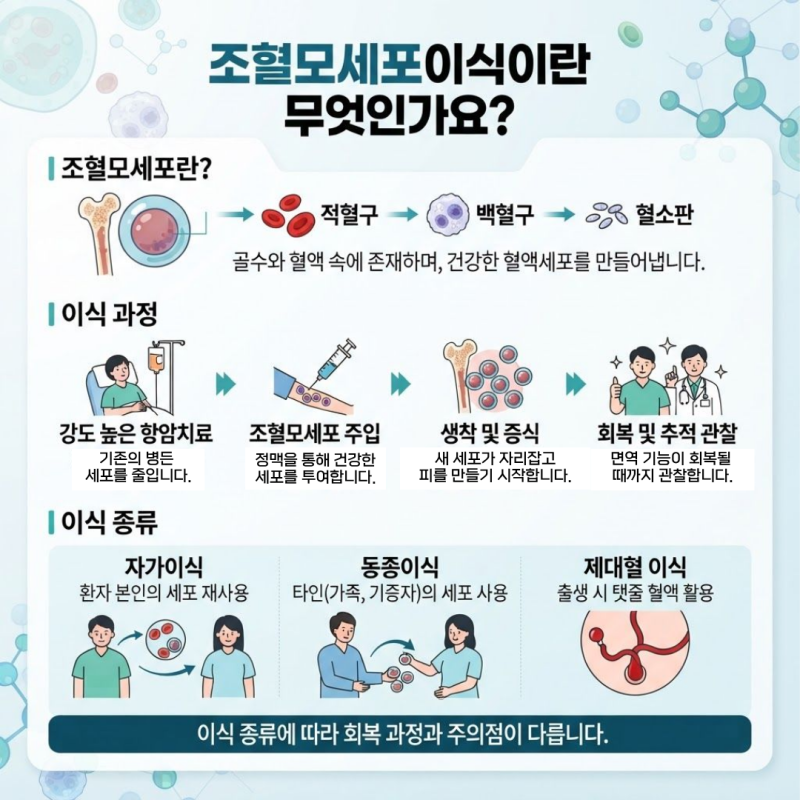 24. 조혈모세포이식이란?(+자가,동종,제대혈 이식)