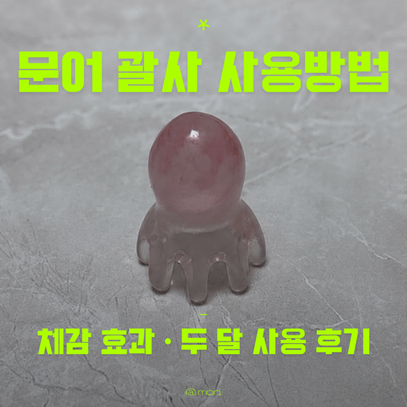 문어괄사 사용방법부터 체감 효과까지 두피 괄사 두 달 써보니