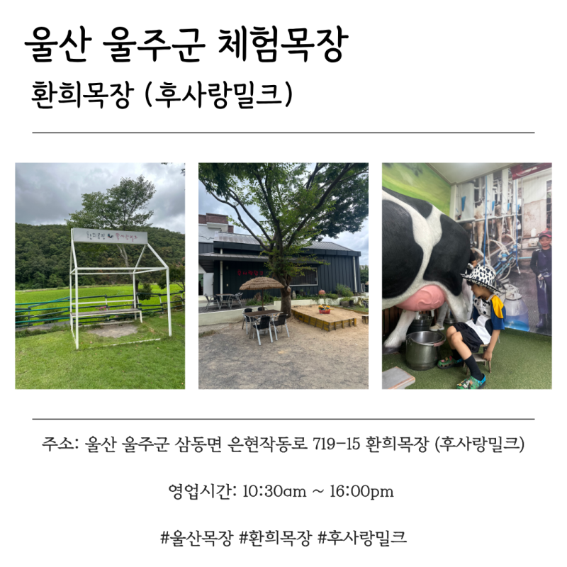 [울산 아이랑] 울산 환희목장｜목장에서 보낸 하루｜아들과 데이트