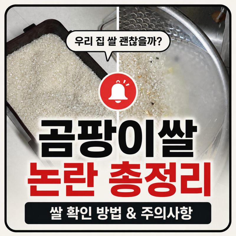 “우리집 쌀은 괜찮을까?” 최근 스레드에서 확산 중인 곰팡이쌀 논란