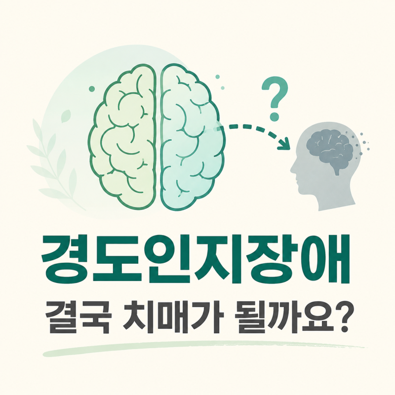 경도인지장애라고 하는데 모두 치매로 진행하나요?