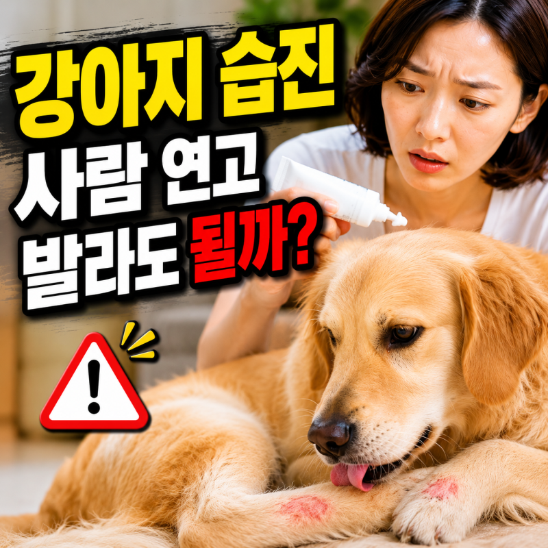 강아지 습진 연고 발라도 될까? 사람약 사용 주의사항