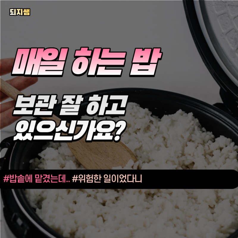 냄새 멀쩡한 남은 밥도 안심하기 이릅니다... 먼저 확인할 건 "이것"