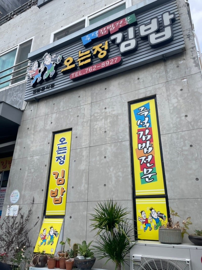 제주 서귀포 오는정김밥 84통 전화예약 당일 성공 후기