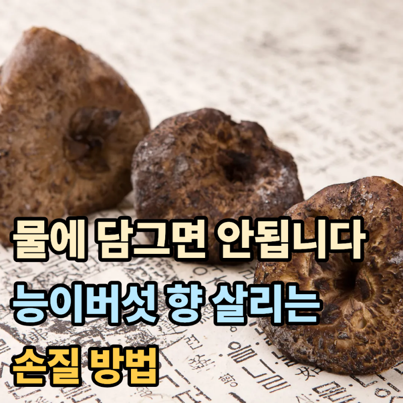 "물에 푹 담그면 안 됩니다"...능이버섯 향 살리는 손질법