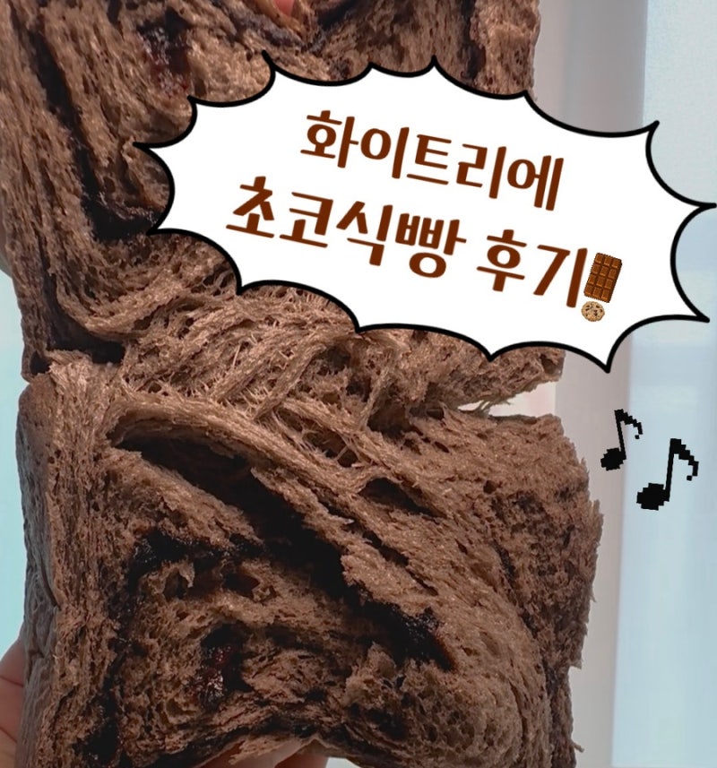 대전 화이트리에 초코식빵 예약 방법, 가격 및 보관방법! 그리고 솔직 후기까지