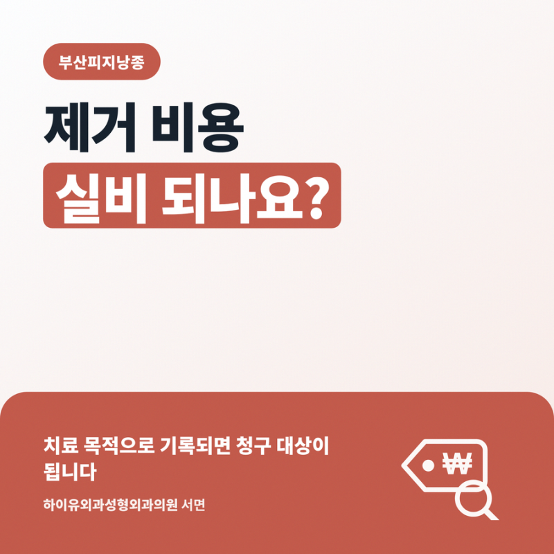 부산피지낭종 제거 비용 실비 되나요?