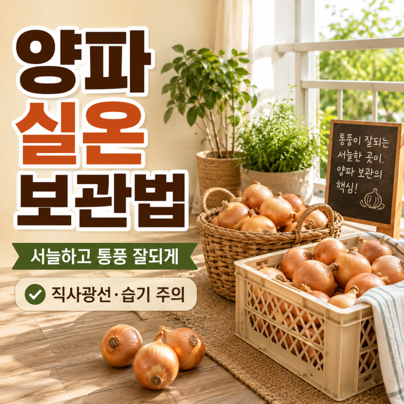 양파 보관방법 한달 이상에 실온에 두고 먹는 방법과 주의사항
