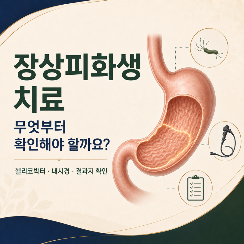 장상피화생 치료, 무엇부터 확인할까요? 헬리코박터·내시경 기준