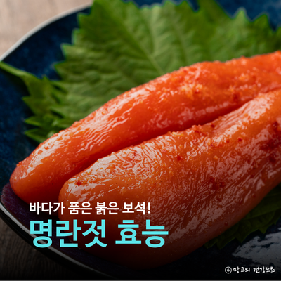 명란젓 효능 부작용 칼로리 영양성분 나트륨 걱정없이 먹는법 및 요리