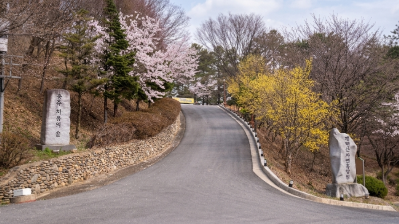 [충주]계명산자연휴양림..