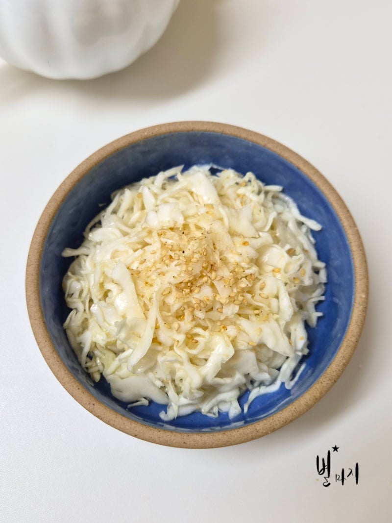 양배추샐러드 | 아삭아삭 맛있는 일본식 양배추 샐러드 레시피