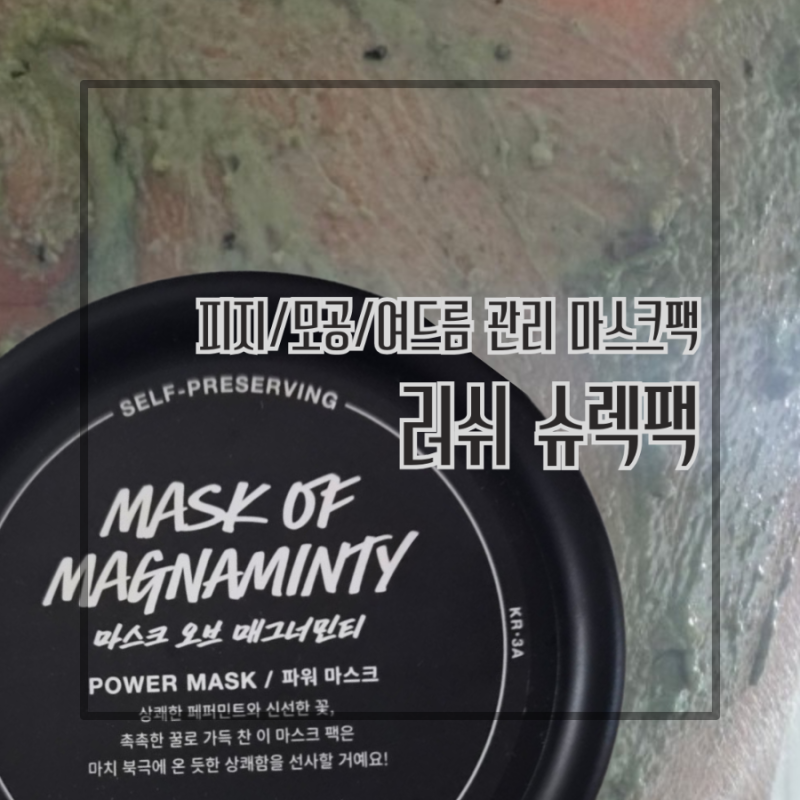 러쉬 슈렉팩 마스크 오브 매그너민티 사용법 보관 방법 마스크팩 여드름 피지 모공