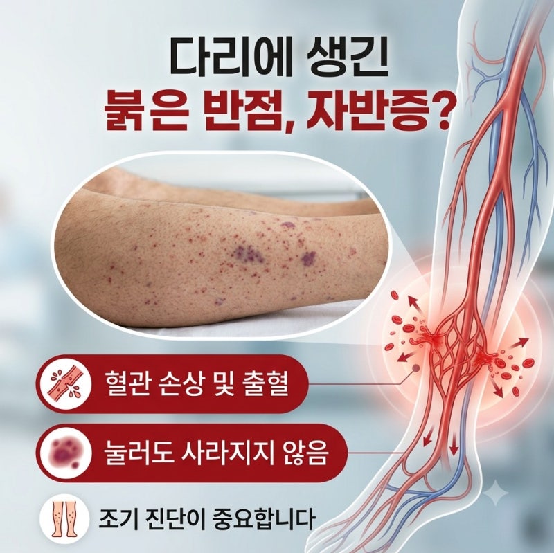 피부 붉은 반점 자반증, 왜 생길까? 빨간반점 원인부터 증상·치료까지
