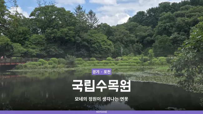 국립수목원 9월 가볼만한 곳 포천 광릉수목원 숲길 산책