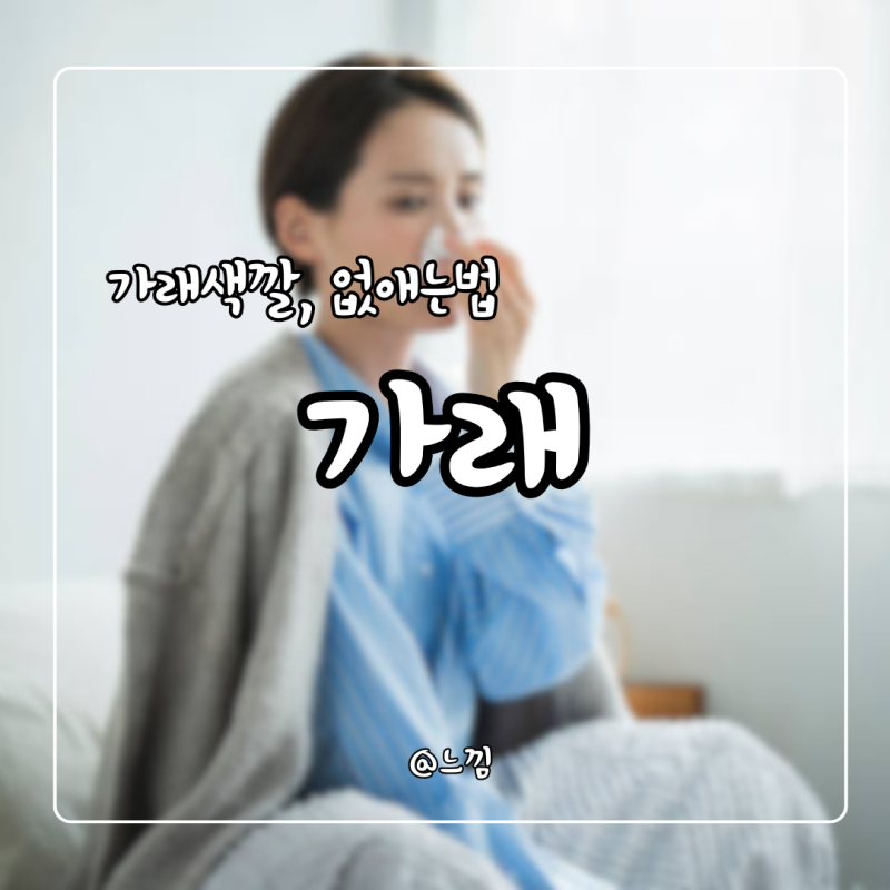 가래가계속 노란가래 색깔 가래 없애는법 삭히는법