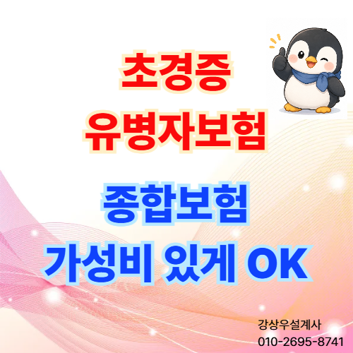 유병자 간편 종합보험이라고 비싸게 가입하지 마세요. 초경증플랜으로 가성비 있게 준비할 ....