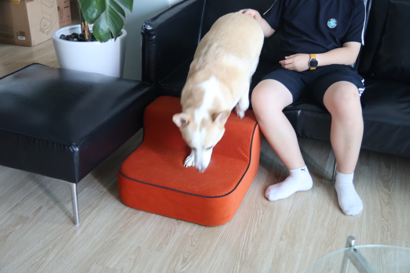 논슬립 강아지계단 아이그로 라이트스텝