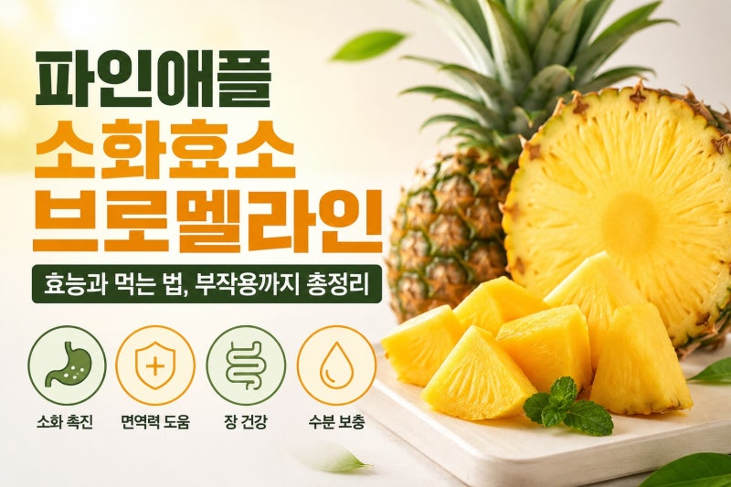 파인애플 소화효소 브로멜라인 효능과 먹는 법, 부작용까지 총정리