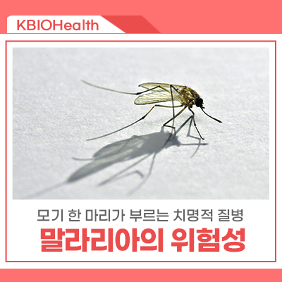 모기 한 마리가 부르는 치명적 질병, 우리는 얼마나 알고 있나요?