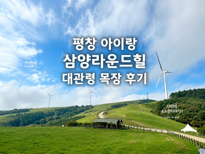 평창 아이랑 가볼만한곳 삼양라운드힐 대관령 삼양목장 셔틀버스 후기