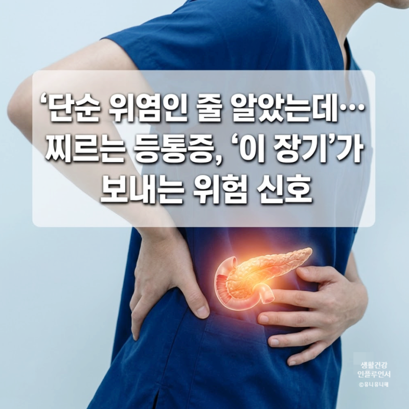 명치통증에서 찌르는 등통증까지? 췌장염 초기증상과 필수 검사