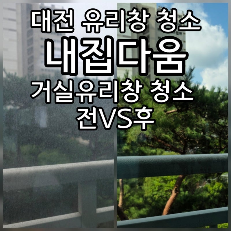 대전 유리창 청소 내집다움 홈케어 거실 이중창 청소로 되찾은 깨끗한 소나무 뷰