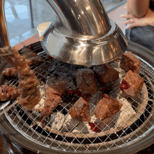 「대전」 가성비로 즐기는 소고기 숯불구이 [담가화로구이]