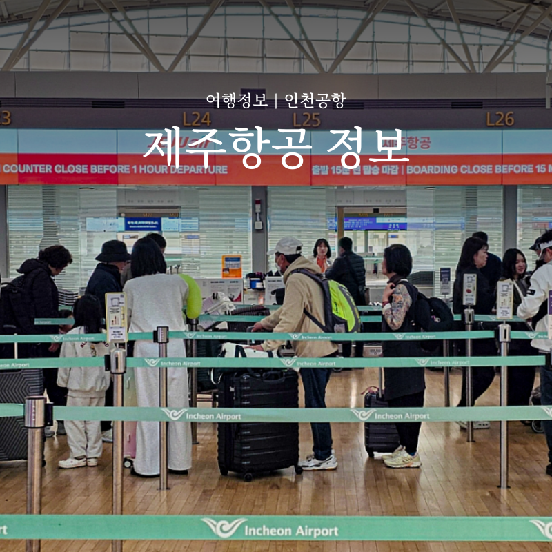 인천공항 제주항공 터미널 위치 체크인 기내 위탁 수하물