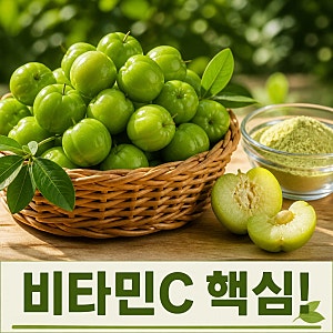 그린아세로라 효능과 부작용 비타민C 풍부한 이유 총정리