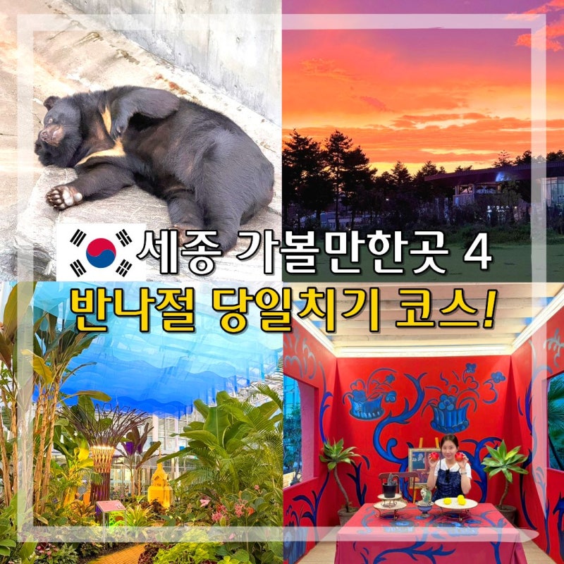 세종 가볼만한곳 Best4, 당일치기 여행 반나절 코스 로망스투어