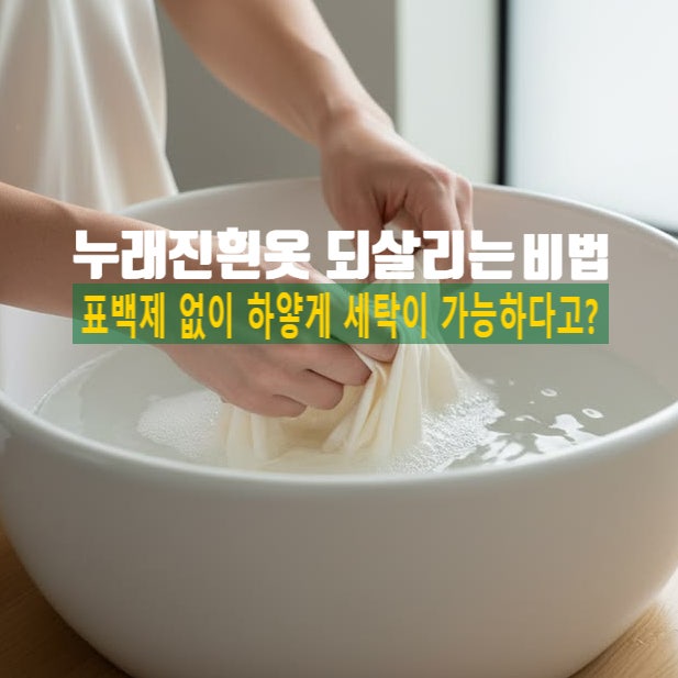 표백제 없이 누래진 흰옷 빨래 세탁 방법, 빨래하얗게 만드는 하얀옷세탁 비밀재료
