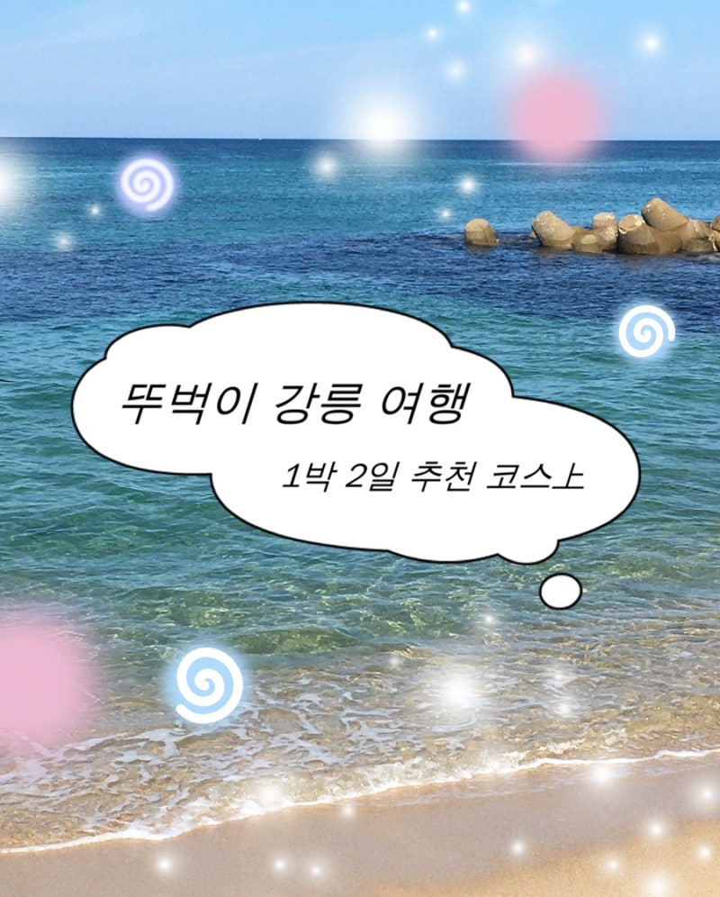[뚜벅이들 주목!] 강릉 여행 1박2일 뚜벅이 코스 추천 (1일차: 강릉 시내 코스)