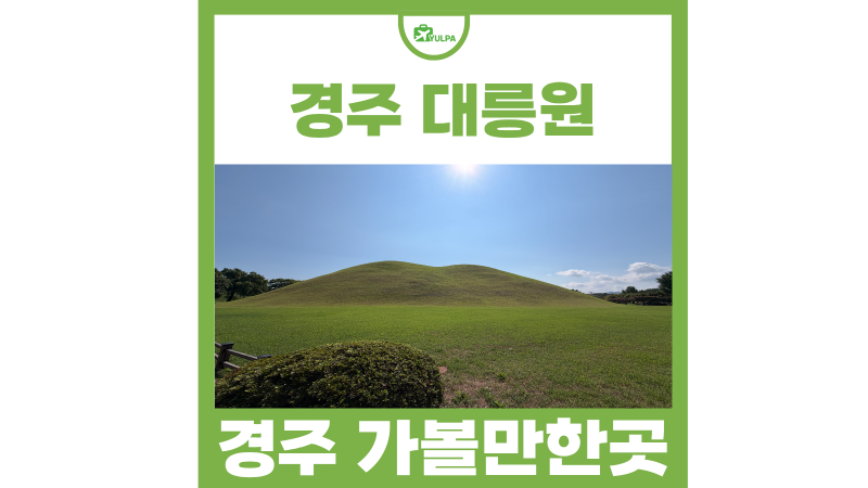 경주 가볼만한곳 대릉원 주차장 배롱나무 포토존 위치