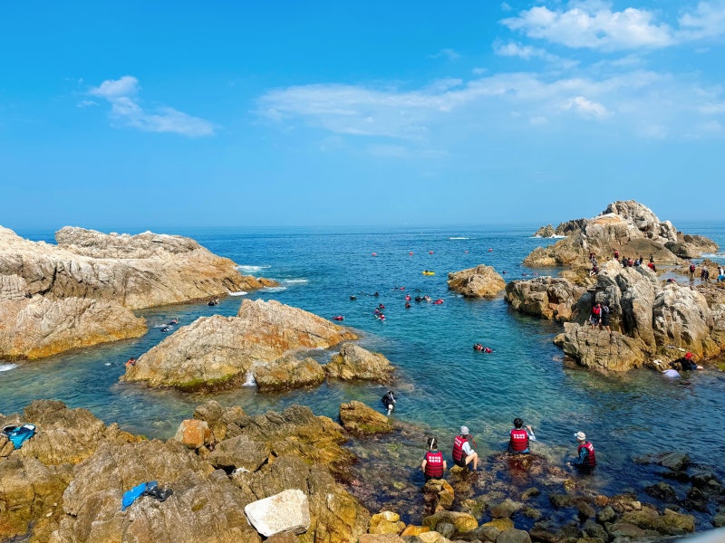 삼척 장호항 스노쿨링 명소 투명카누 놀거리 여행지