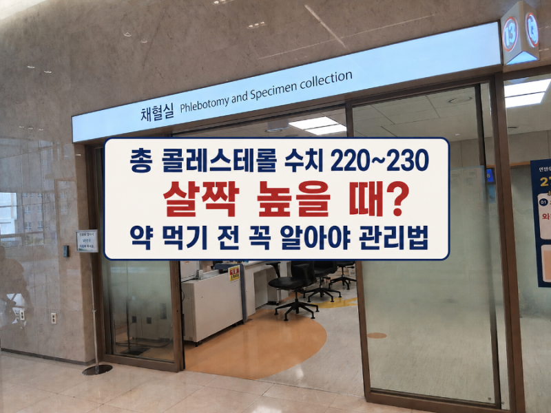 총 콜레스테롤 수치 220~230 살짝 높을 때? 약 먹기 전 꼭 알아야 관리법