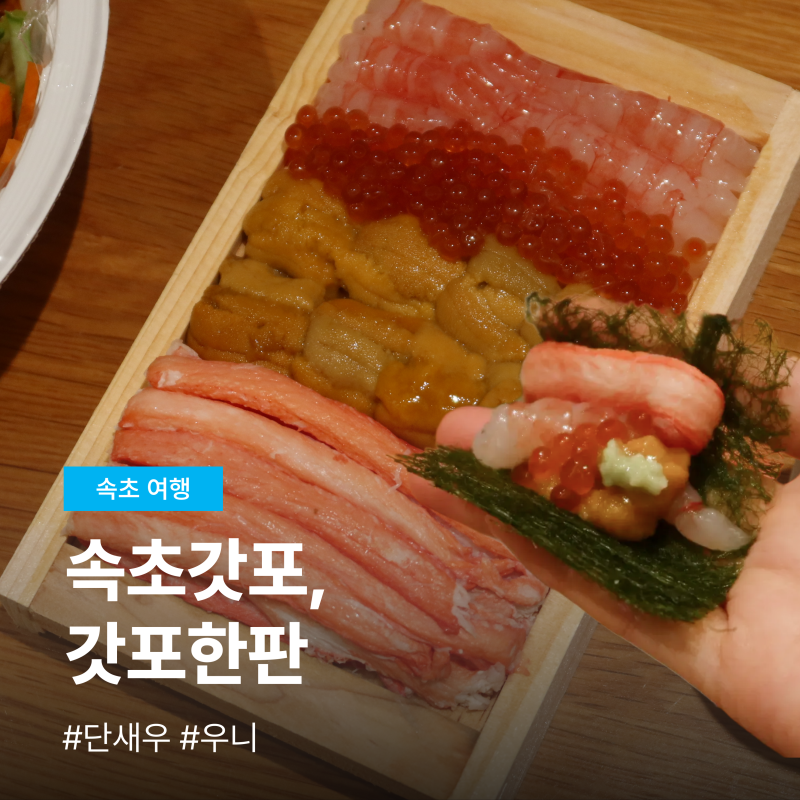 속초 중앙시장 속초갓포, 갓포한판 우니 단새우 구매 포장 웨이팅 후기